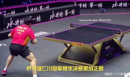 乒乓球比赛视频直播,精彩瞬间回顾